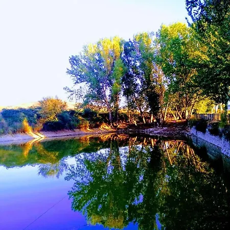 El Rincón De Moreno Munébrega